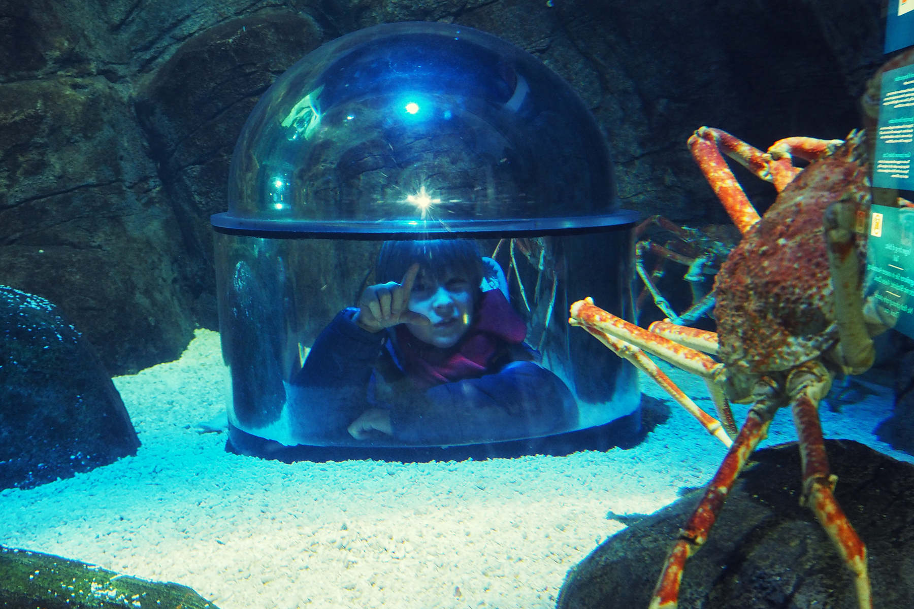 Travelisto - Reisen mit Kindern - Familien Reiseblog - Legoland