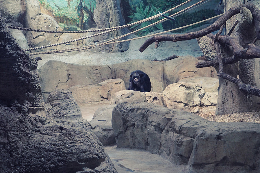 Bremerhaven Zoo am Meer