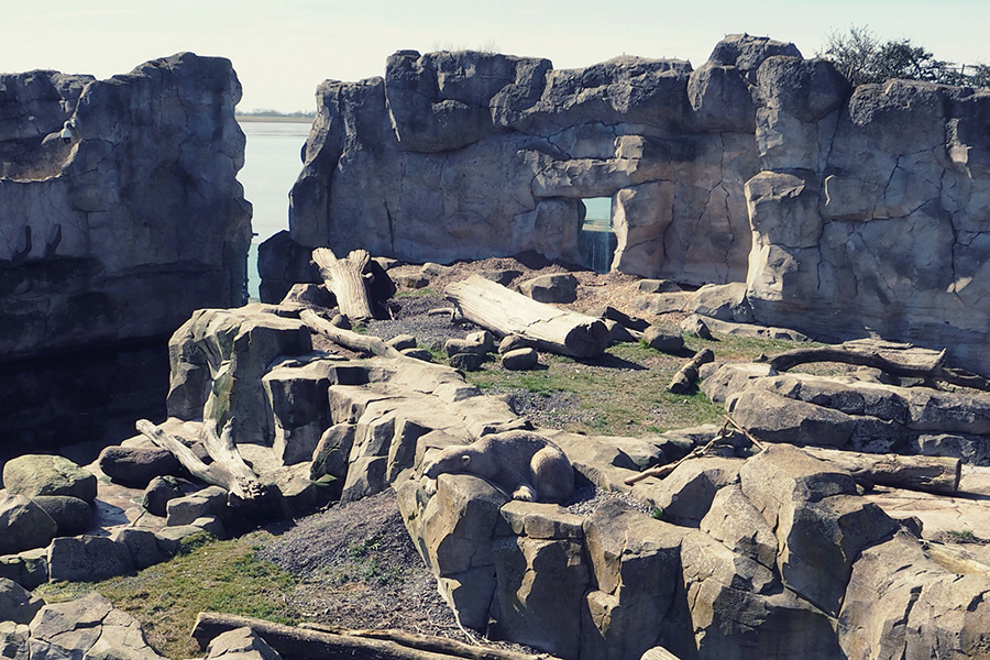 Bremerhaven Zoo am Meer