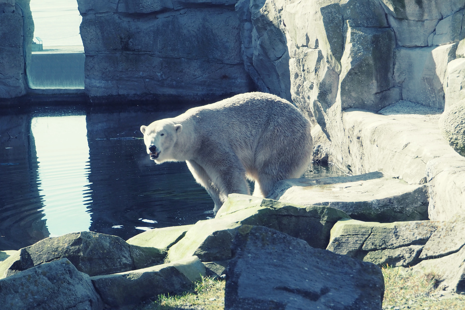 Bremerhaven Zoo am Meer
