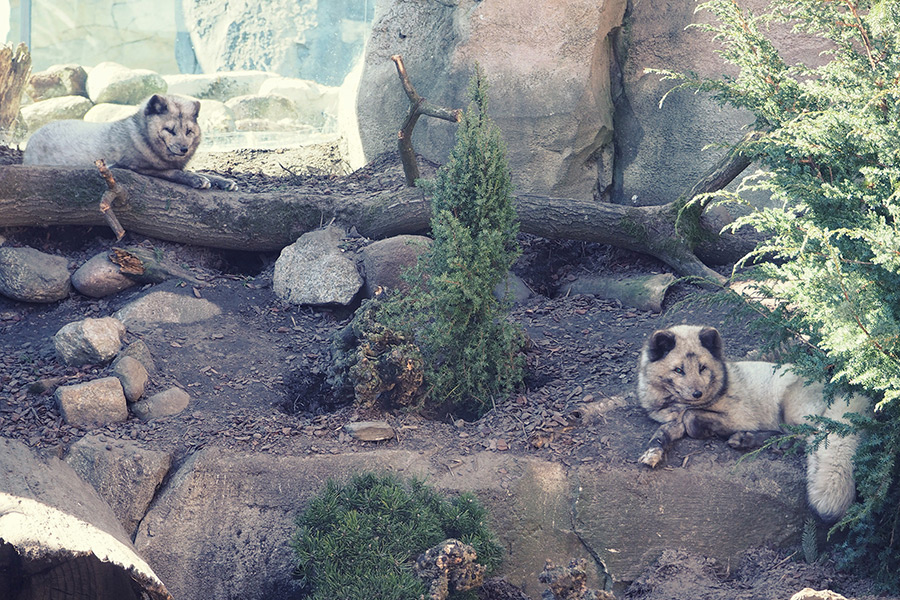 Bremerhaven Zoo am Meer