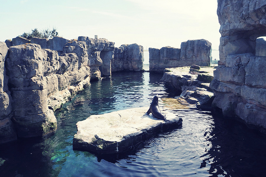 Bremerhaven Zoo am Meer