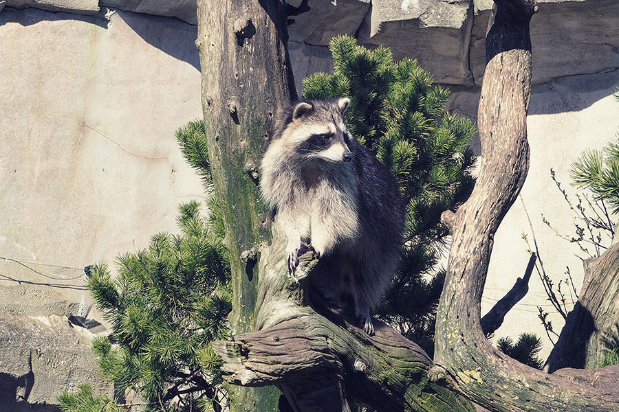 Bremerhaven Zoo am Meer