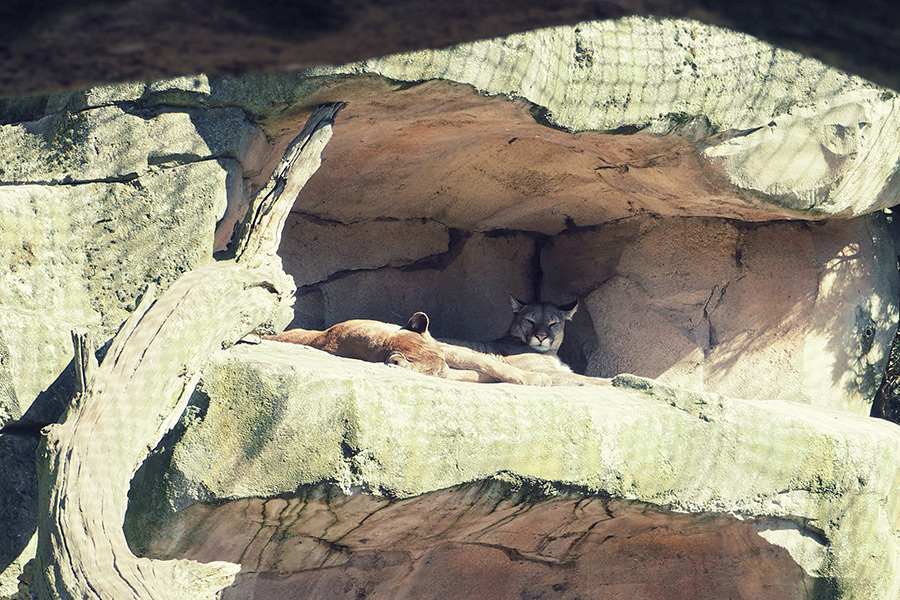 Bremerhaven Zoo am Meer