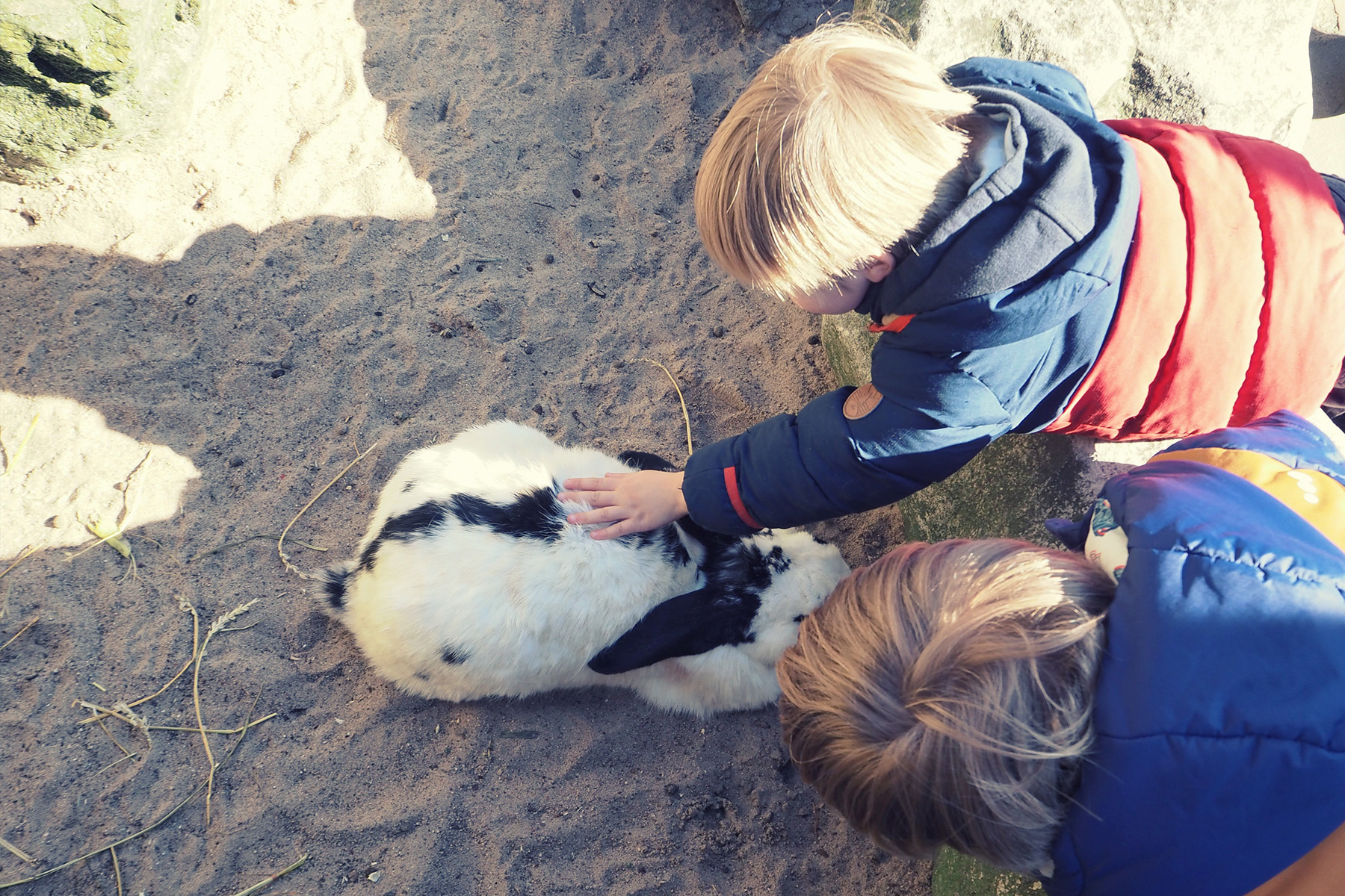 Bremerhaven Zoo am Meer