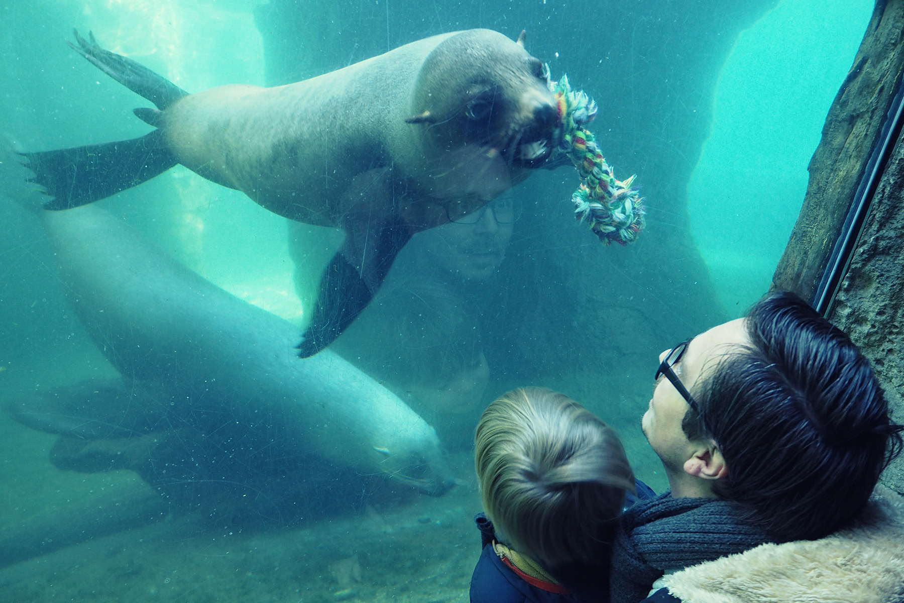 Bremerhaven mit Kindern