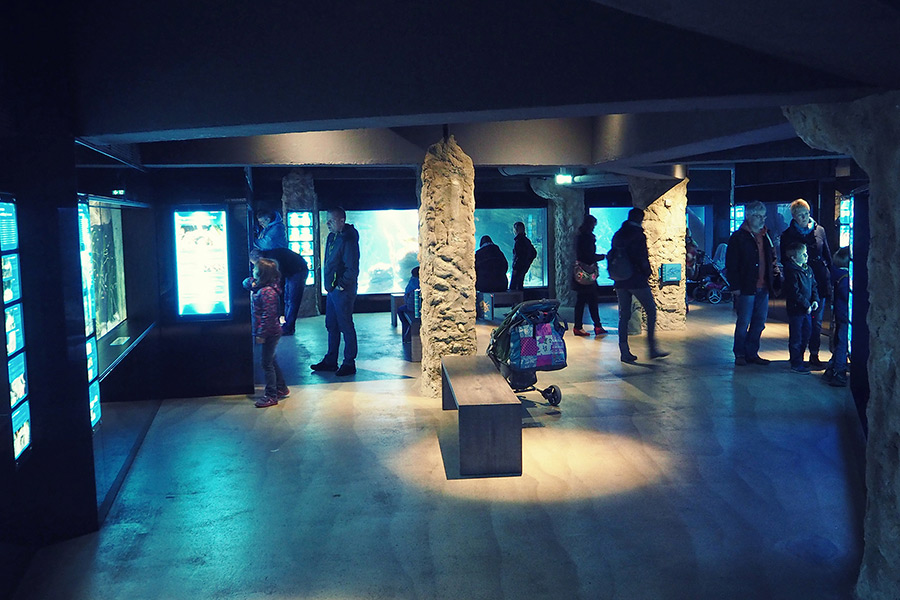 Bremerhaven Zoo am Meer