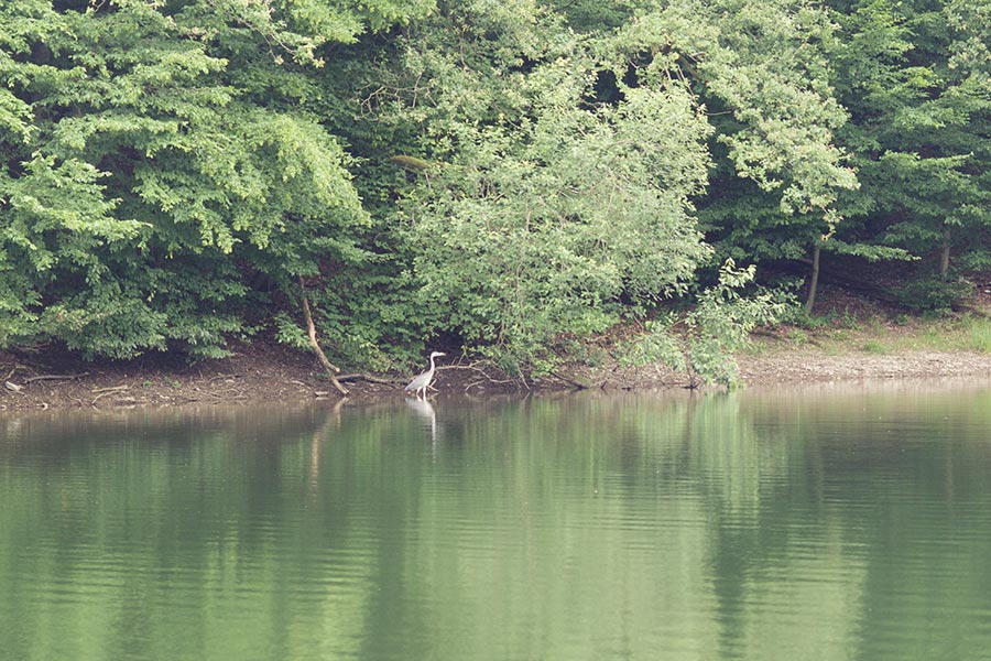 Bootstour auf dem Obersauer-Stausee Luxemburg