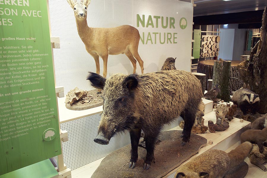 Luxemburg mit Kindern