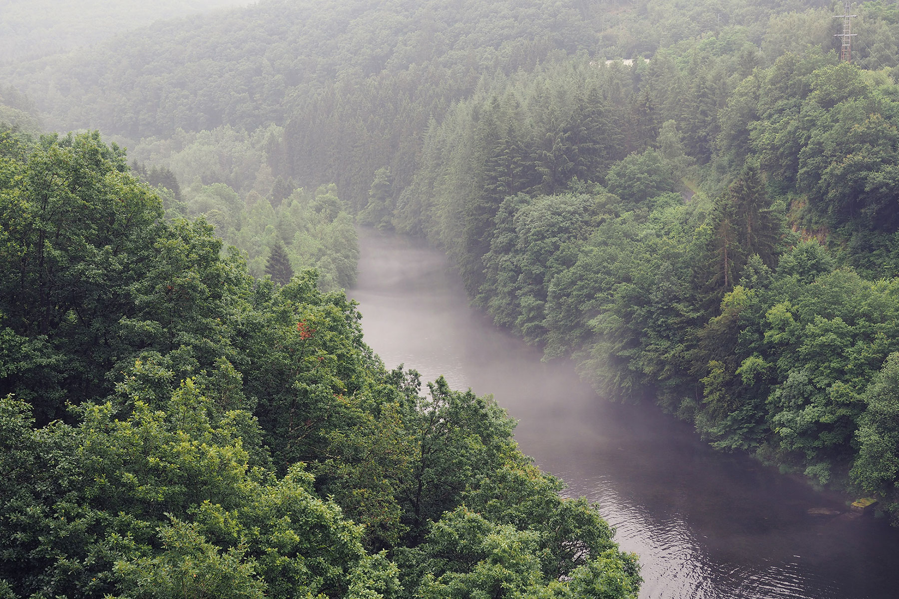 Blick vom Staudamm auf den Fluss Sûre