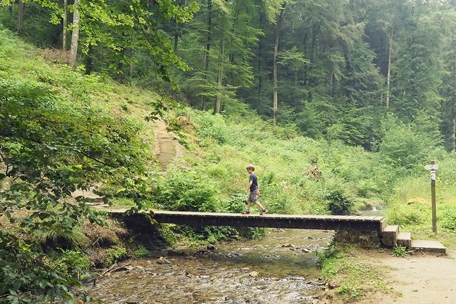 Mullerthal Trail Luxemburg