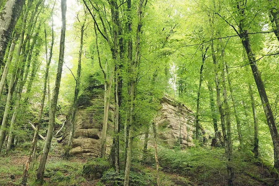 Mullerthal Trail Luxemburg