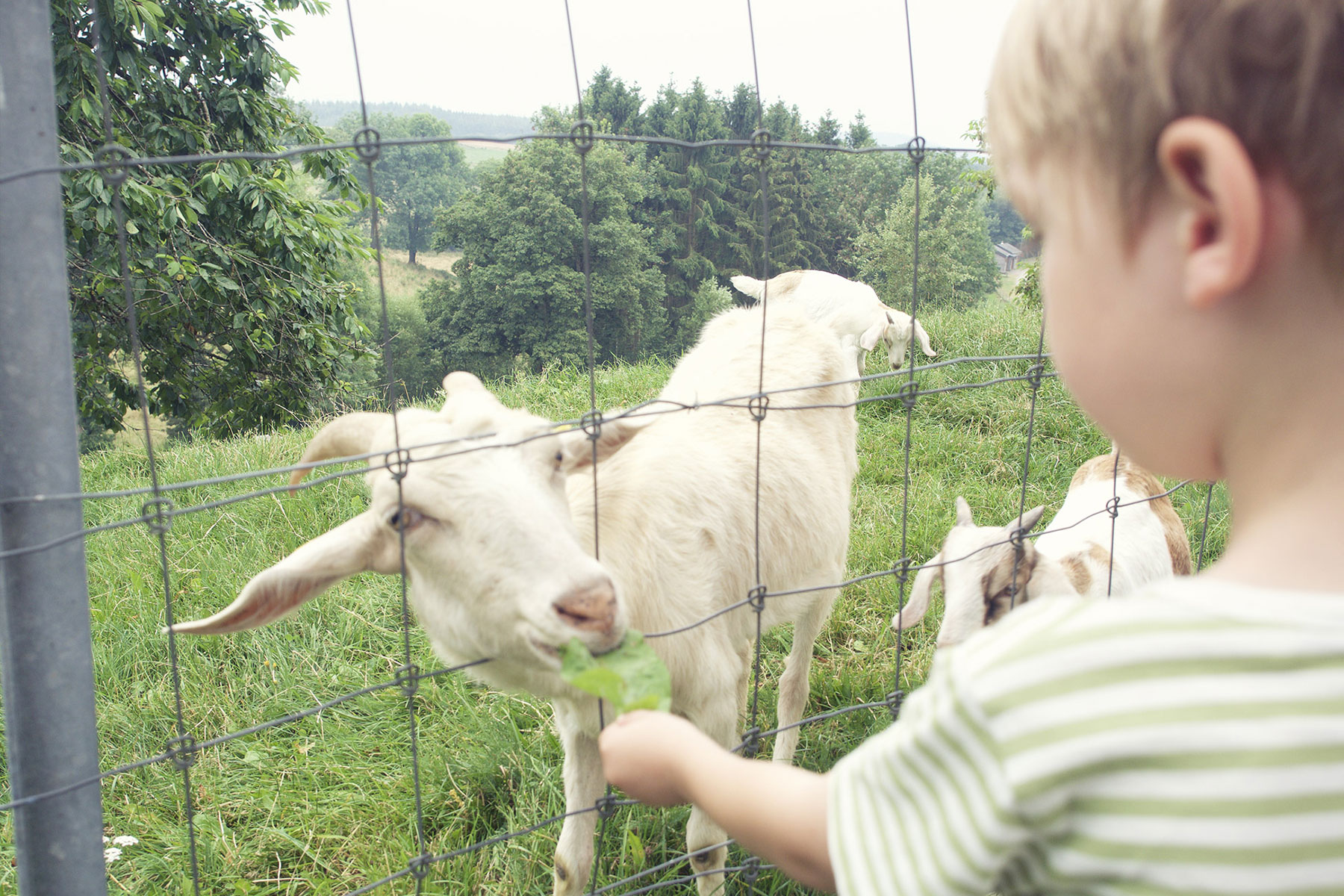 Luxemburg mit Kindern
