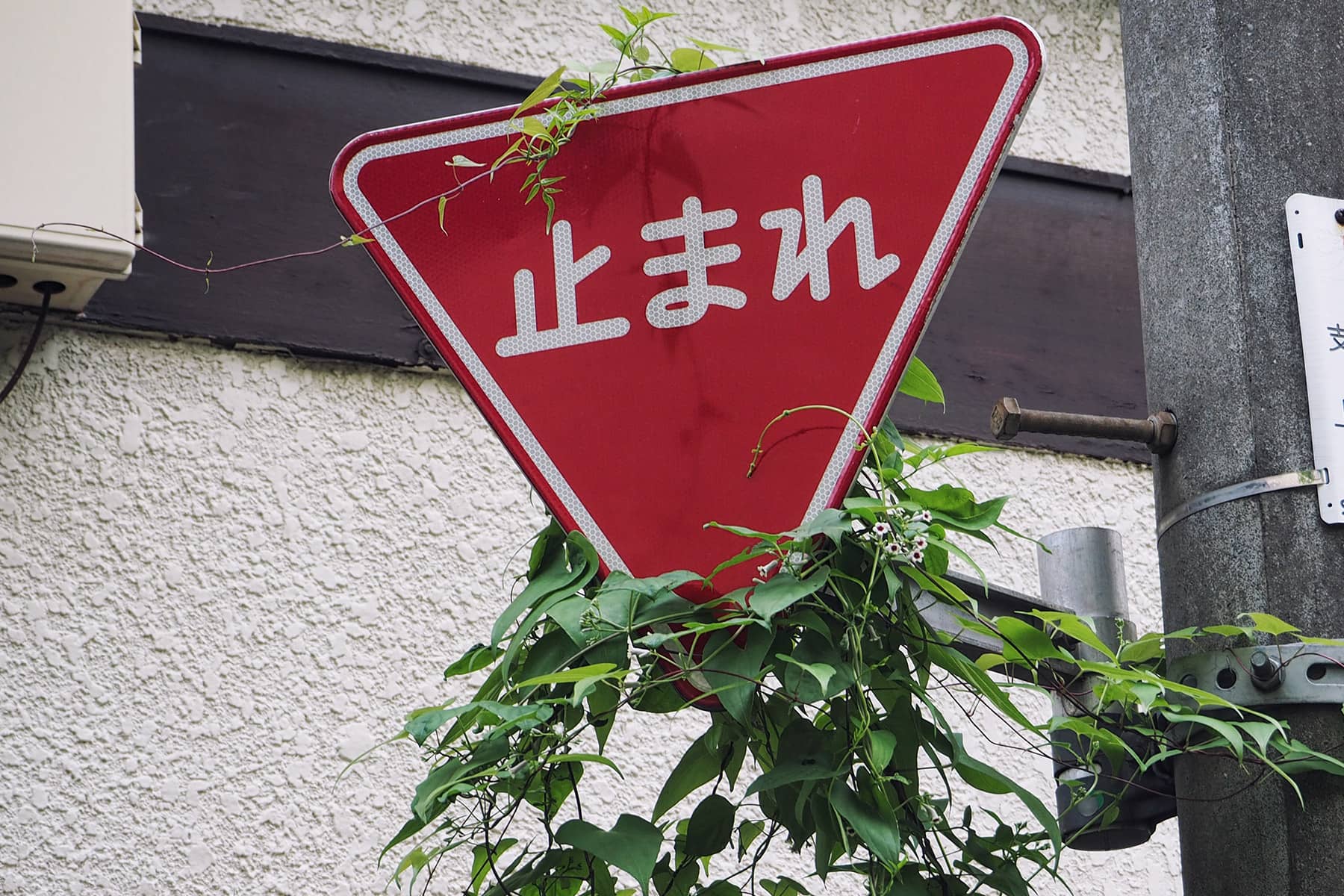 Verkehr in Japan