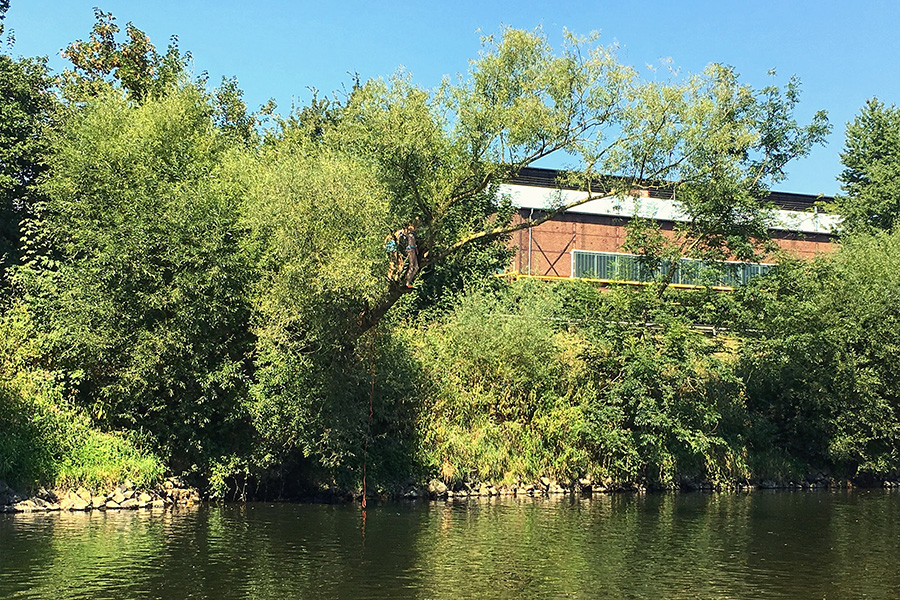 Schwimmen und Baden an der Sieg bei Köln