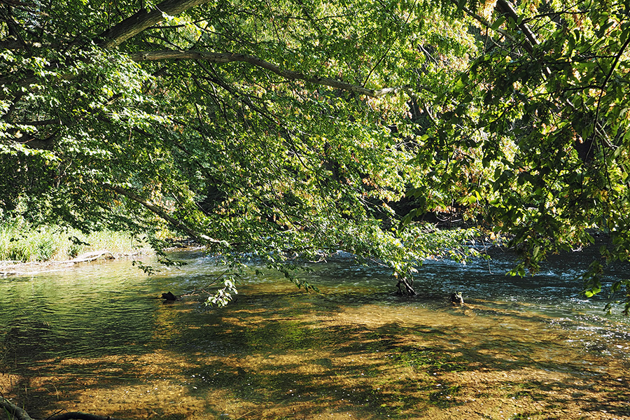 Baden und Schwimmen in der Agger