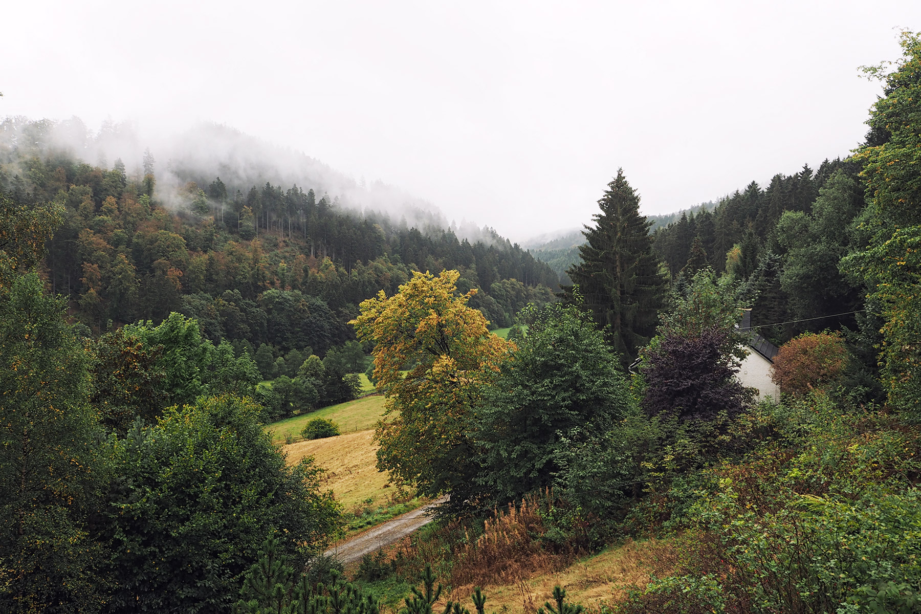 Auf 500 Metern Höhe im Sauerland