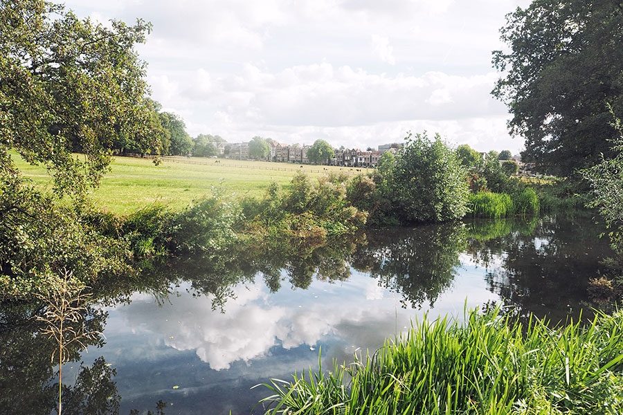 Citywalk Arnheim Sonsbeek