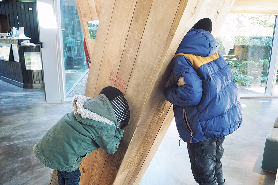 Besucherzentrum im Veluwe Nationalpark