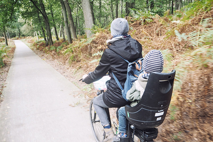 Fahrradfahren im Veluwe Nationalpark Holland