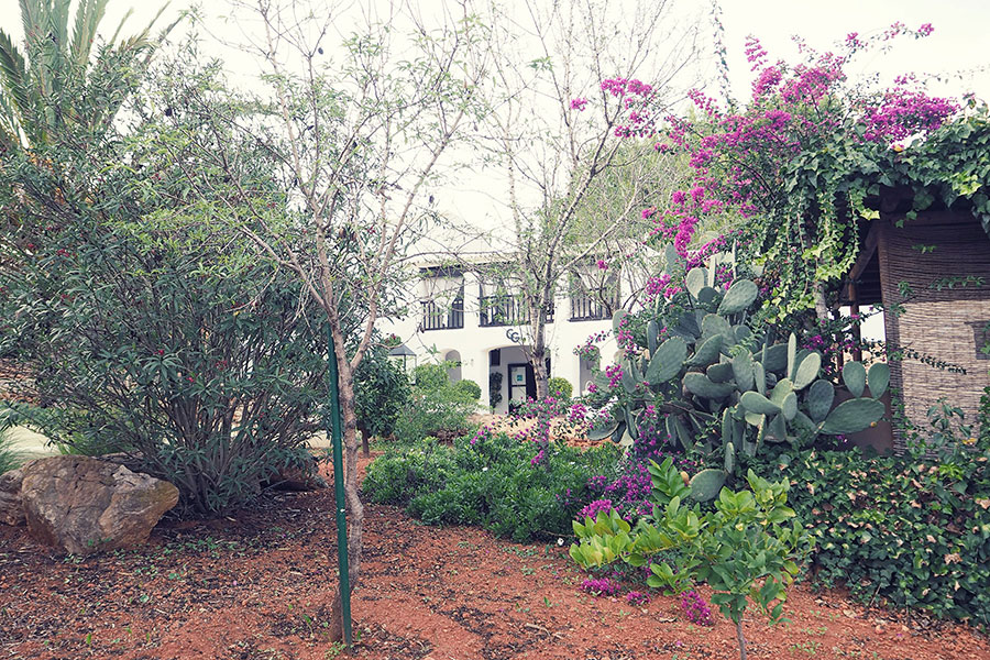 Can Guillem auf Ibiza