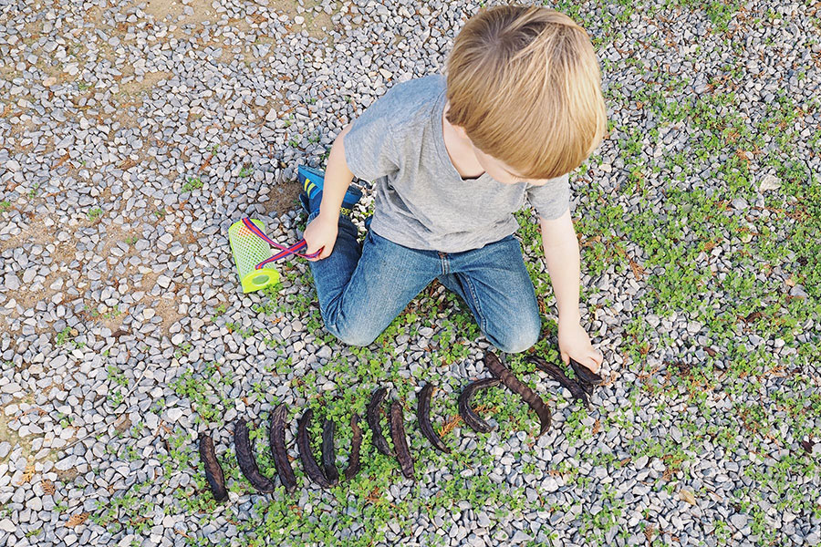 Mato sortiert Johannisbrot, Ibiza