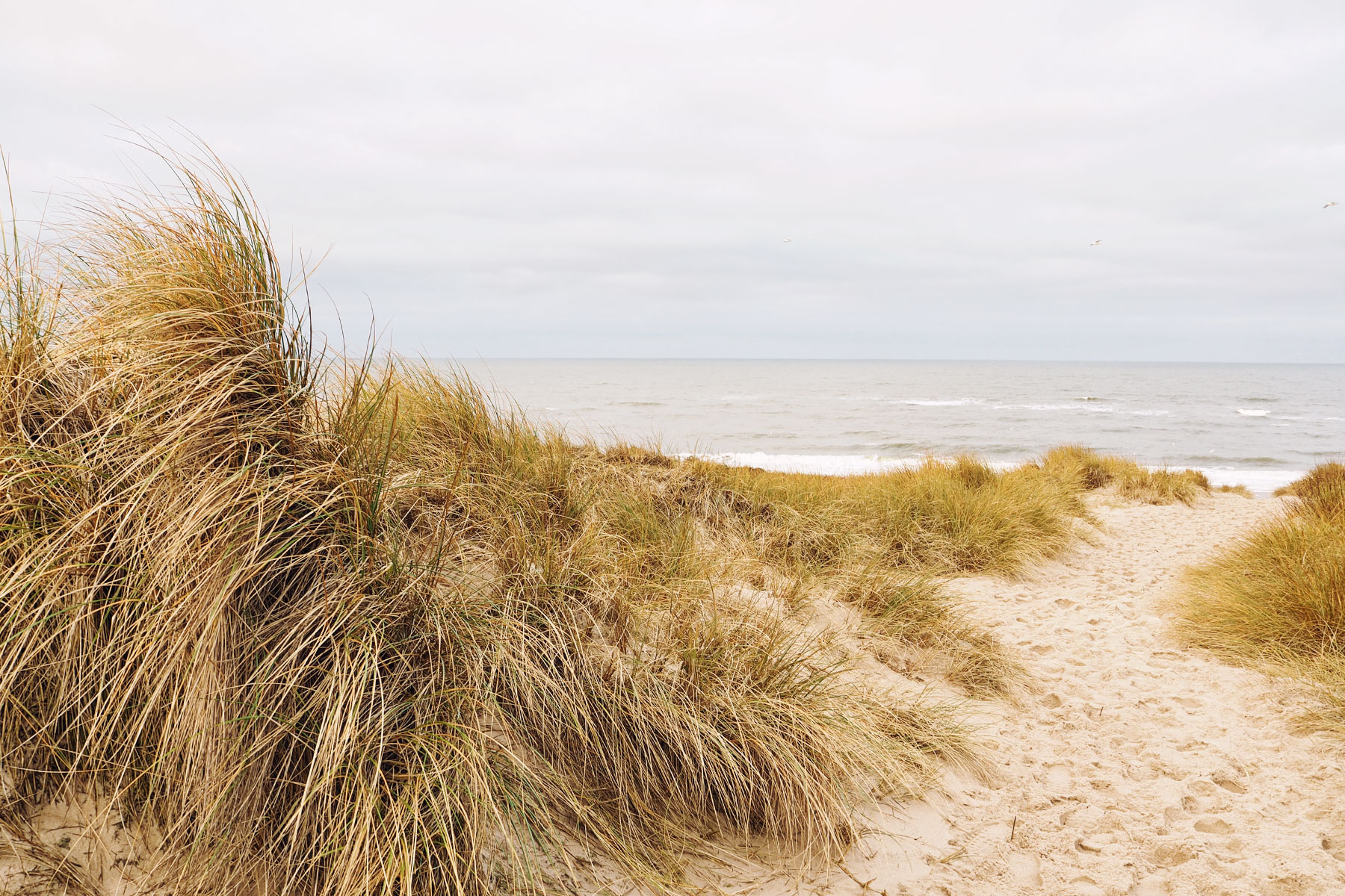 Winterurlaub auf Sylt