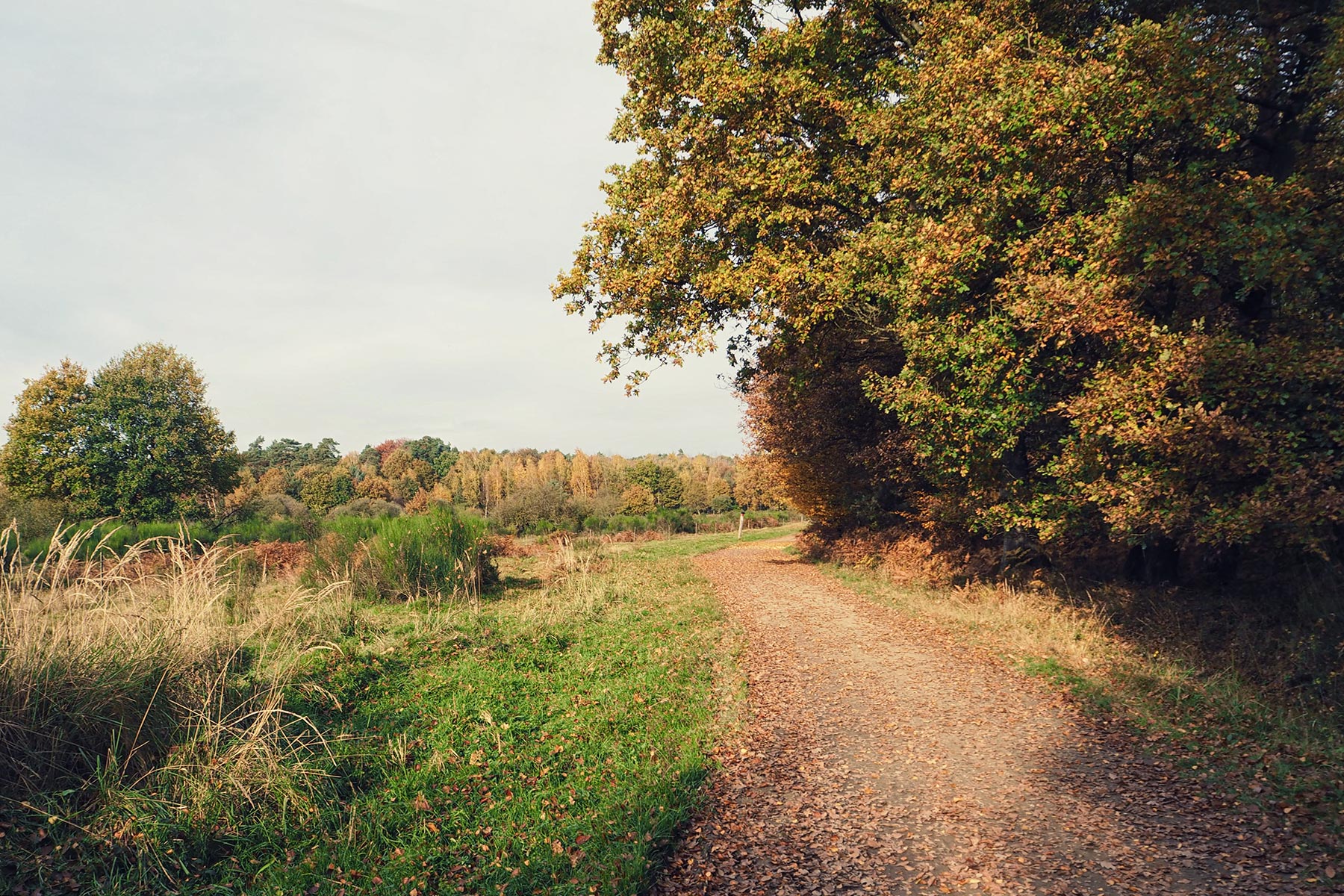 Wandern in der Natur