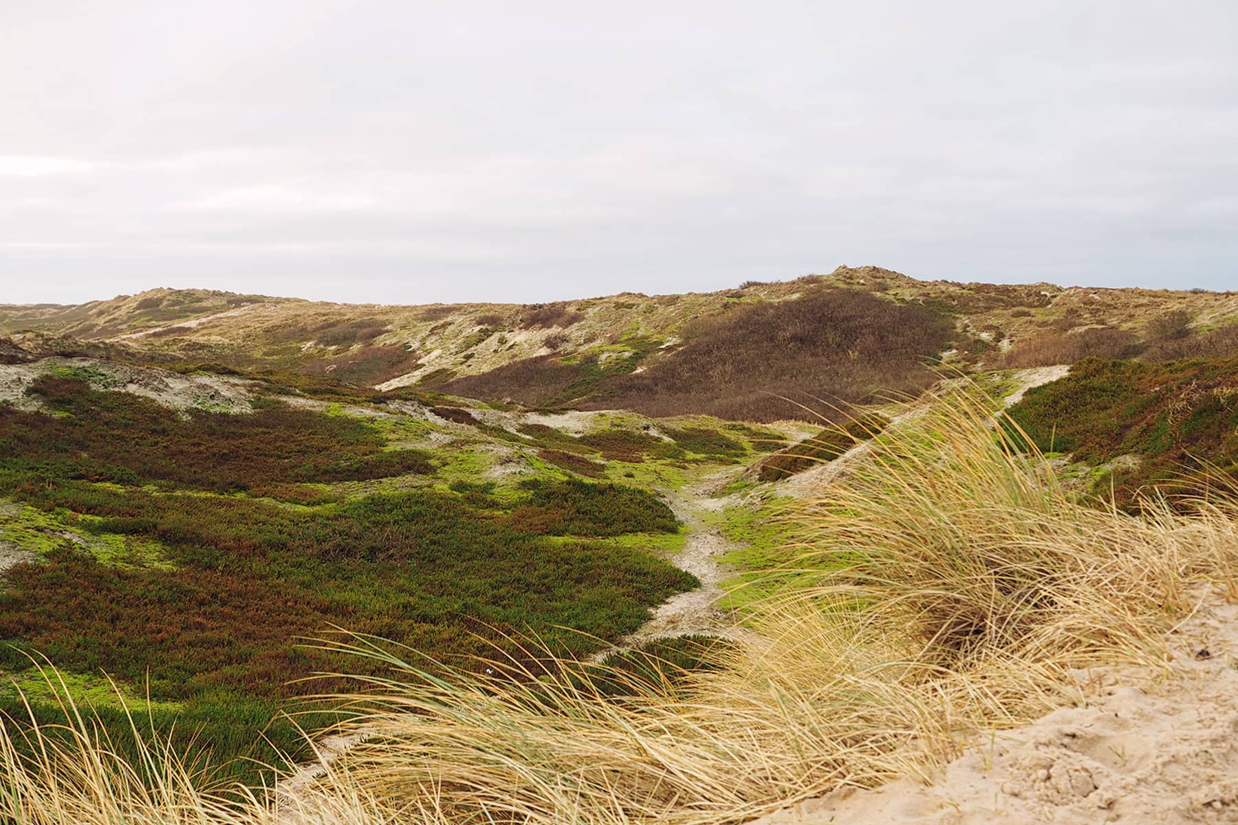 Sylt mit Kindern