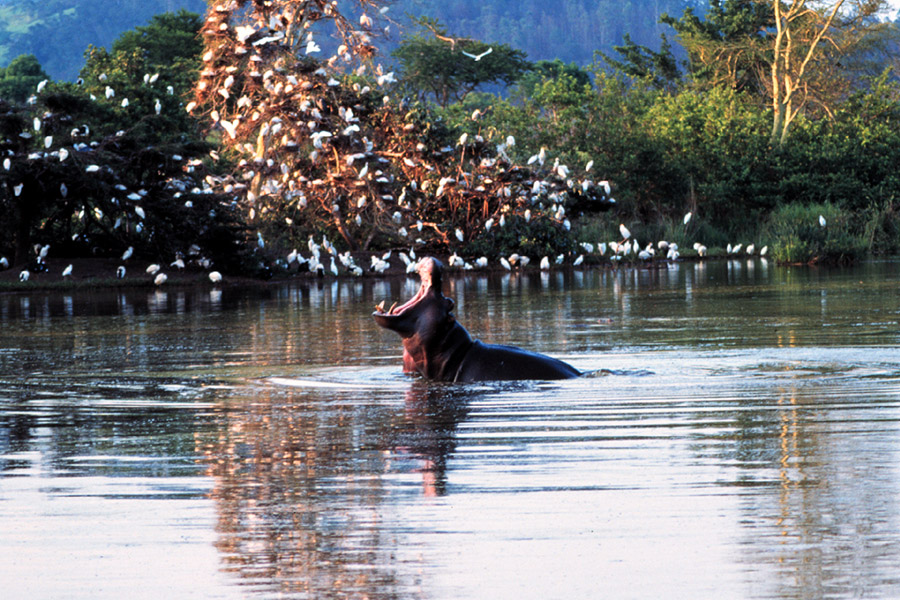 Mit Kindern in Südafrika