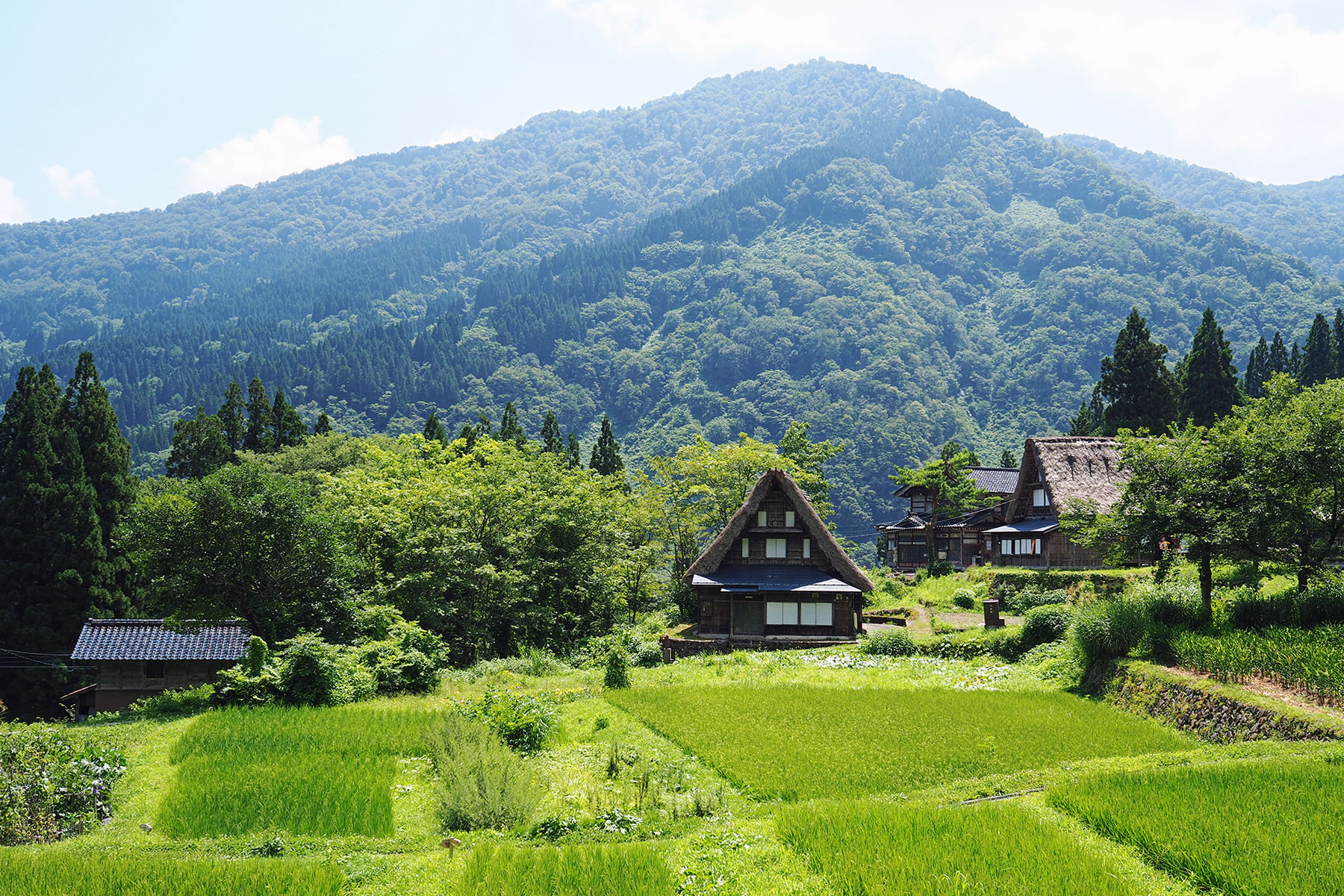 Weltkulturerbe Gokayama
