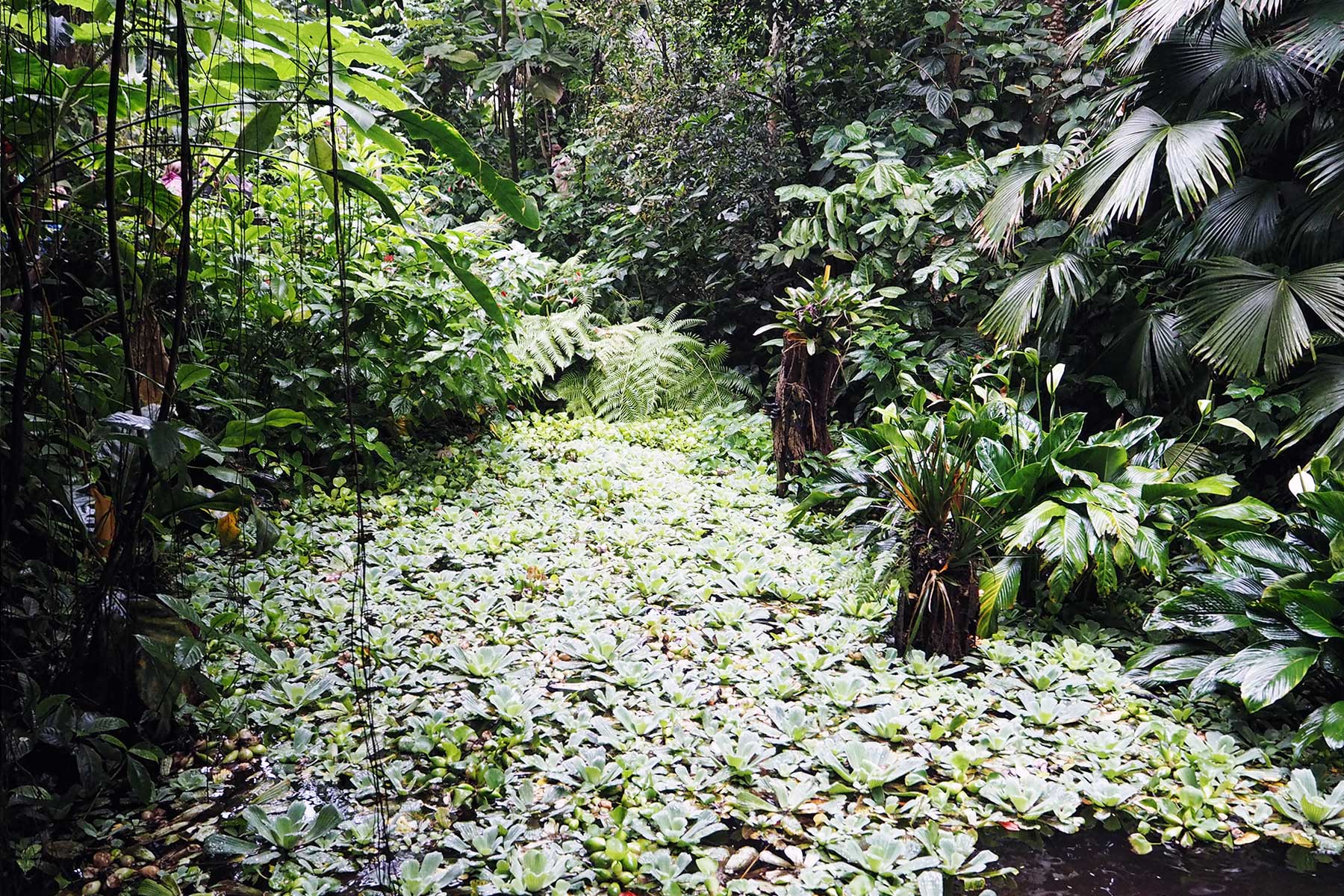 Burger´s Zoo mit Kindern