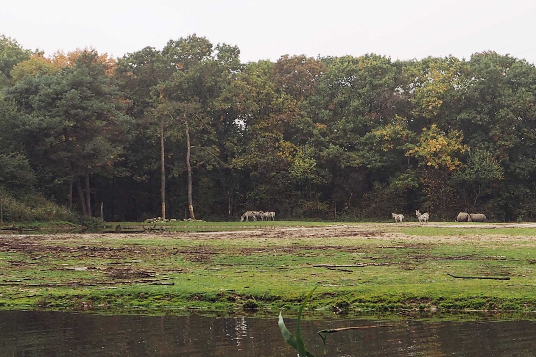 Burger´s Zoo Safari