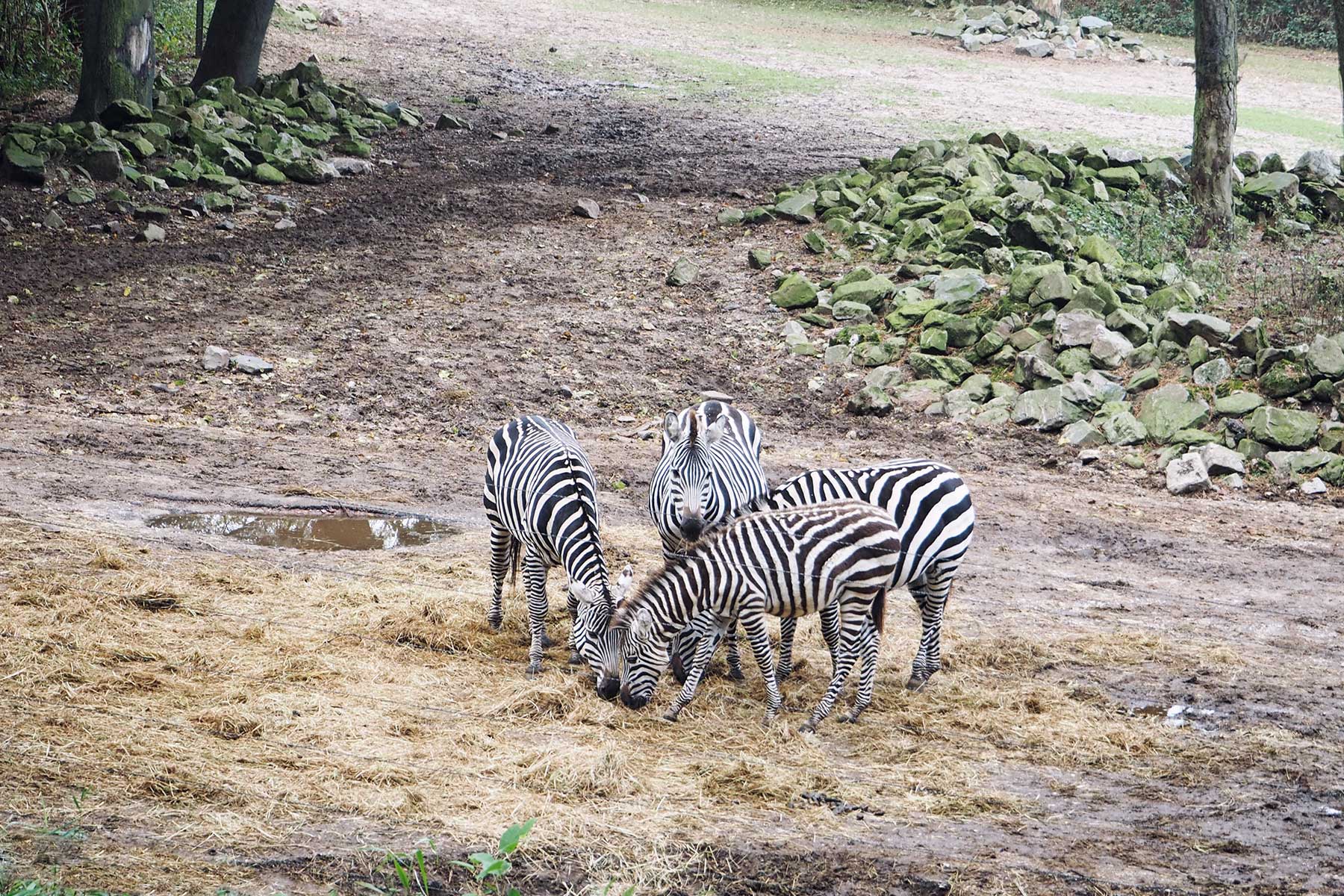 Burger´s Zoo mit Kindern