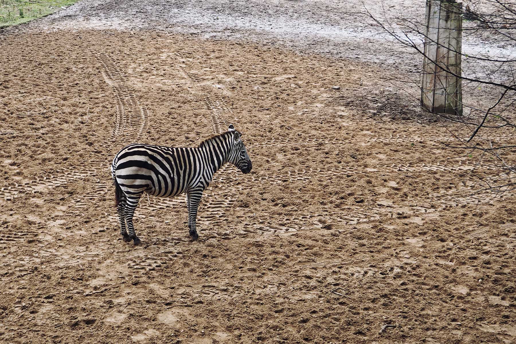 Burgers Zoo in Arnheim Holland Niederlande