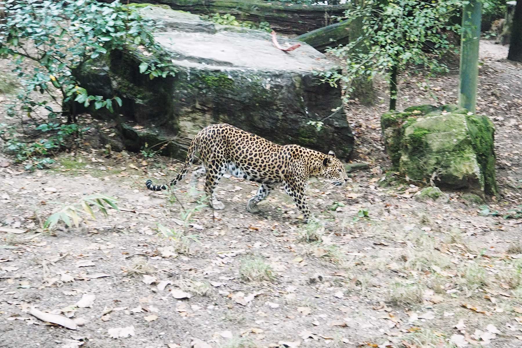 Burger´s Zoo mit Kindern