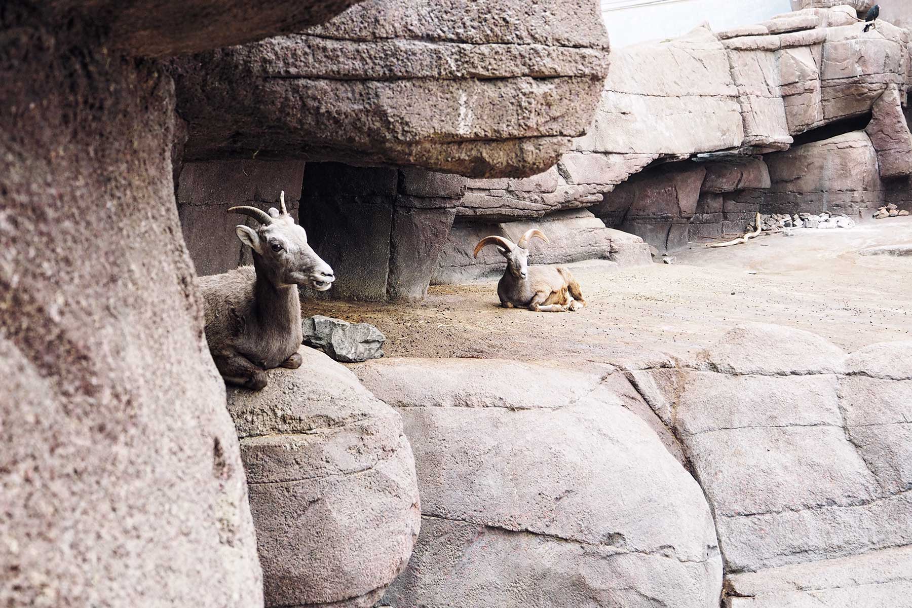 Burger´s Zoo mit Kindern