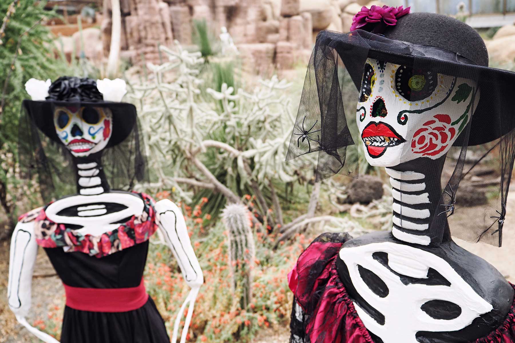 Desert im Burger´s Zoo