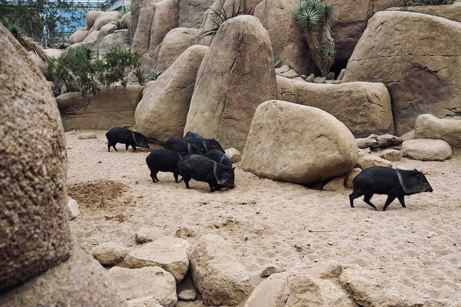 Burger´s Zoo mit Kindern