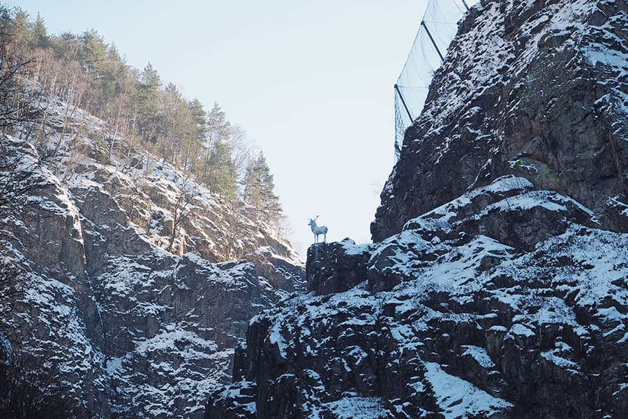 Feldberg mit Kindern