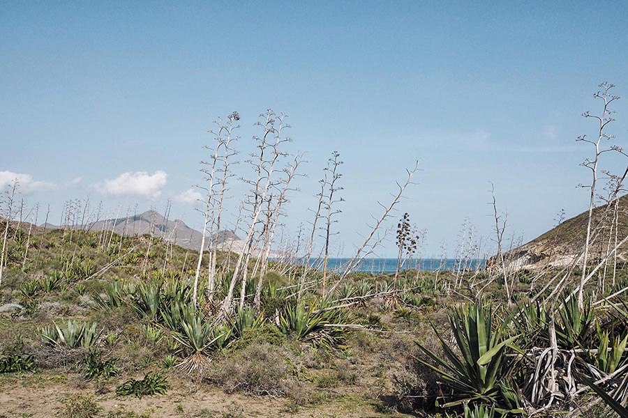 Andalusien mit Kindern