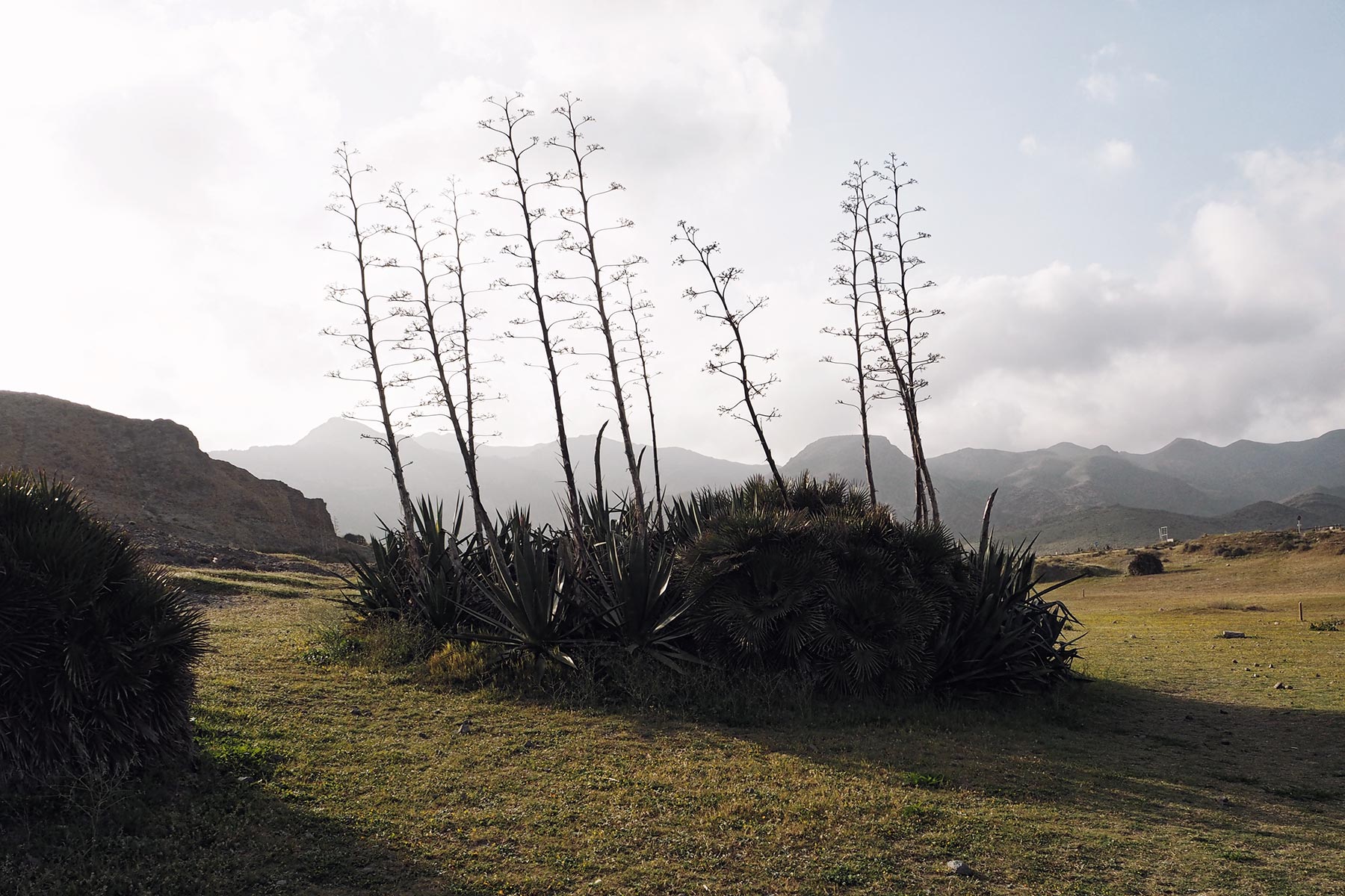 Andalusien mit Kindern