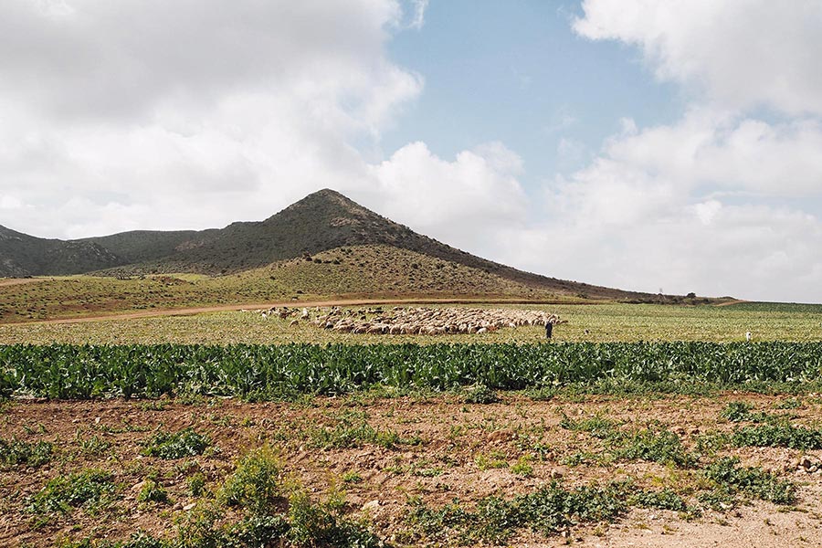 Andalusien mit Kindern