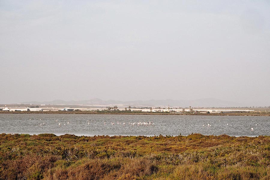 Andalusien mit Kindern