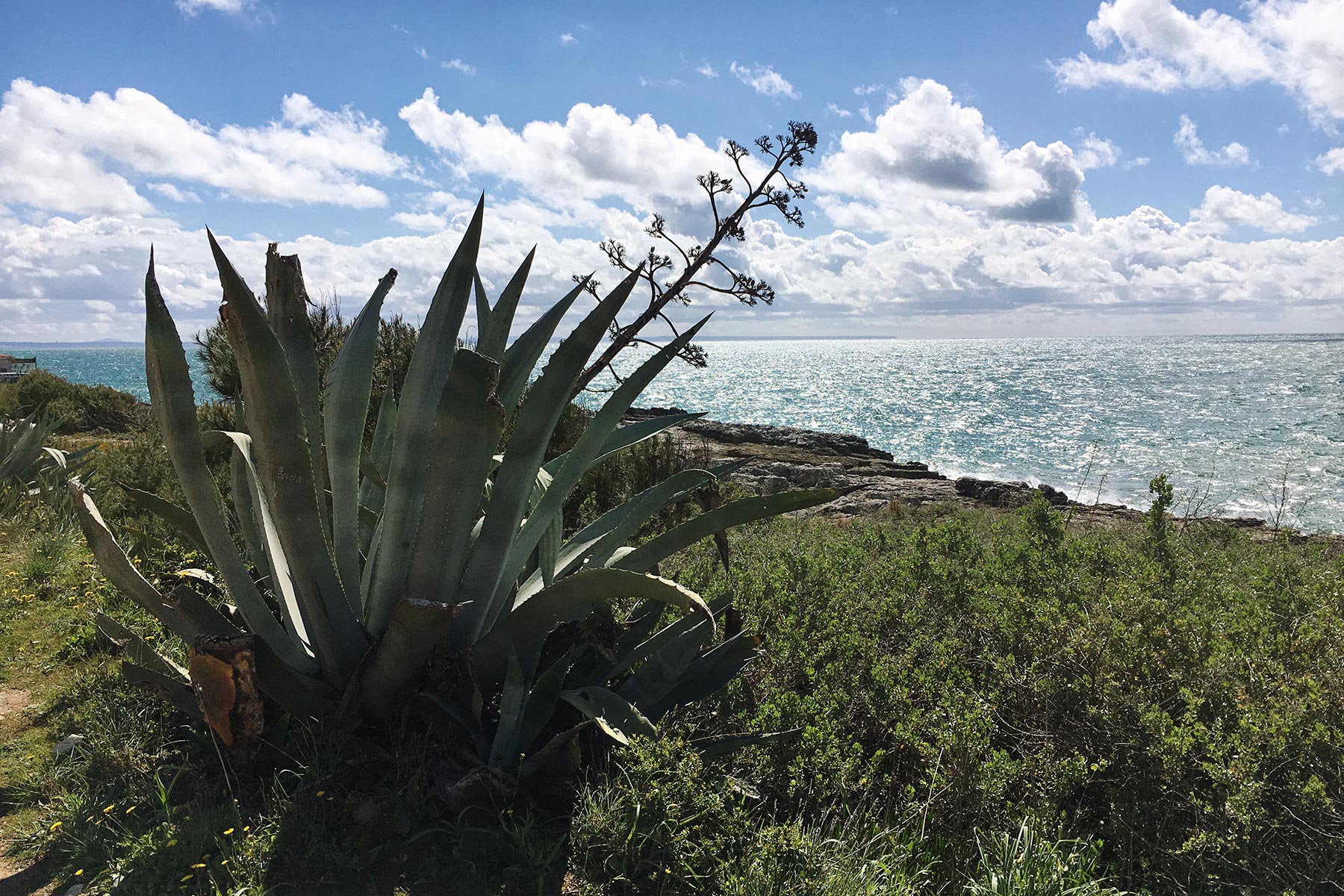 Portugal mit Kindern