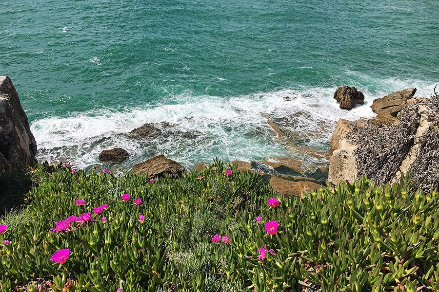 Portugal mit Kindern