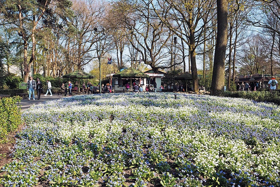 Efteling mit Kindern