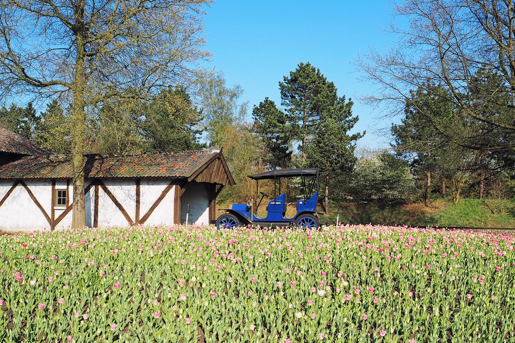 Efteling mit Kindern