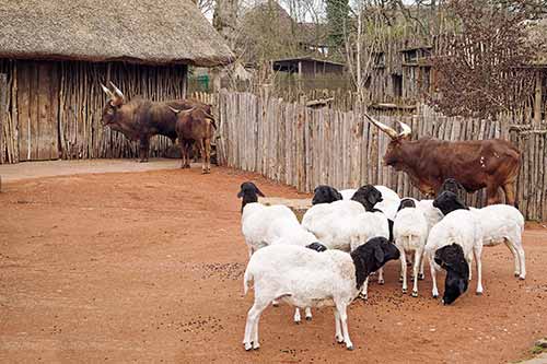 ZOOM Erlebniswelt Gelsenkirchen Zoo
