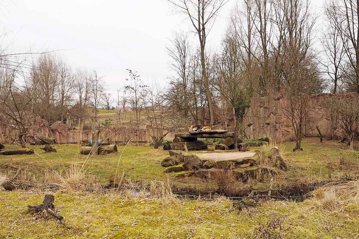 Afrika in der ZOOM Erlebniswelt